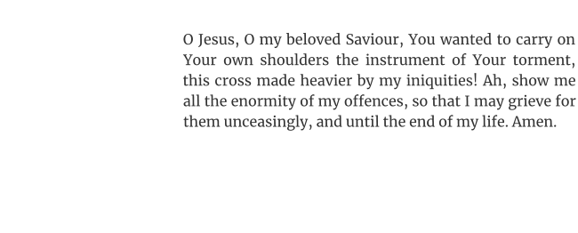 O Jesus, O my beloved Saviour, You wanted to carry on Your own shoulders the instrument of Your torment, this cross made heavier by my iniquities! Ah, show me all the enormity of my offences, so that I may grieve for them unceasingly, and until the end of my life. Amen.