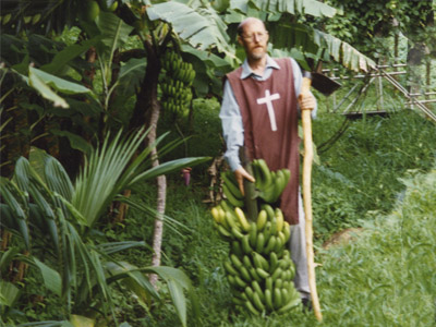 Récolte des bananes