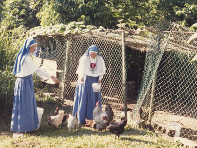 Les poules